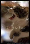 Dsc_5100mantauyawn