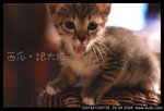 Dsc_5111melonyawn