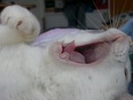 Dscn0203