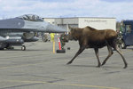 pic00241