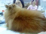 DSC00234