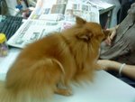 DSC00235