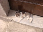 DSC00078