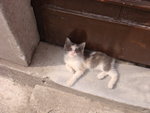 DSC00079