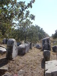 DSC00597