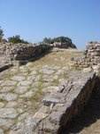 DSC00606