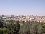 DSC00246