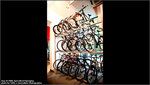 Specialized04