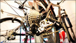 Specialized09