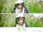 Stella05