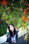 Stella23