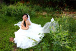 stella_14A