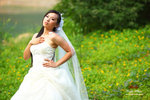 stella_28A