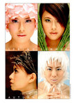 "The Seasons" comp card