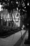 DSC_1230