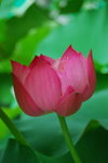 hong kong park034