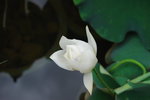 hong kong park079