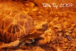 DSC_1392 xanga