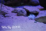 DSC_1407 xanga