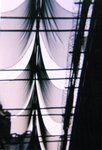 26020801