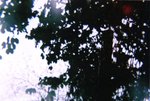 26020808