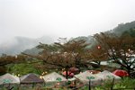 _MG_0377(1)