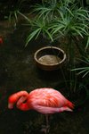 3-12-06 205