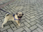 DSC00069_net