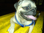 DSC00074_net