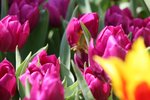 IMG_8982