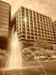DSC00531