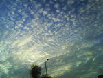 DSC00587