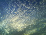 DSC00588
