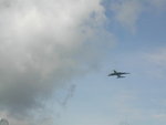 DSCN8919