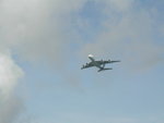 DSCN8946