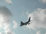 DSCN8948