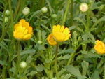 DSCN2884