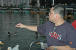 Wai and duck -1