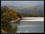 IMG_5202