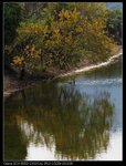 IMG_5203