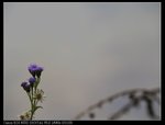 IMG_5204