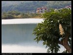 IMG_5205