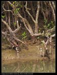 IMG_5209