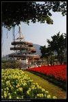 IMG_6073