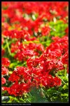 IMG_6078
