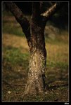 IMG_2553