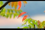 IMG_4457