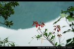 IMG_4459
