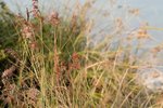 IMG_3449