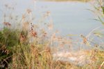 IMG_3451